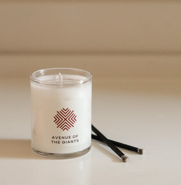 Humboldt Redwoods State Park Travel Candle